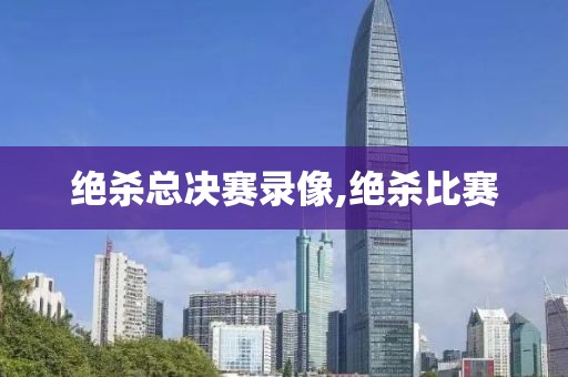 绝杀总决赛录像,绝杀比赛