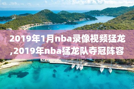 2019年1月nba录像视频猛龙,2019年nba猛龙队夺冠阵容