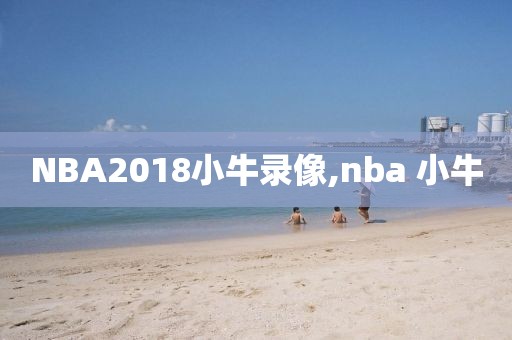 NBA2018小牛录像,nba 小牛