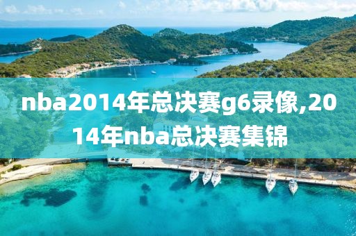 nba2014年总决赛g6录像,2014年nba总决赛集锦