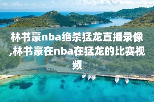 林书豪nba绝杀猛龙直播录像,林书豪在nba在猛龙的比赛视频