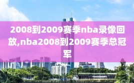 2008到2009赛季nba录像回放,nba2008到2009赛季总冠军