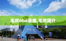 毛欢nba录像,毛欢简介