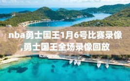 nba勇士国王1月6号比赛录像,勇士国王全场录像回放
