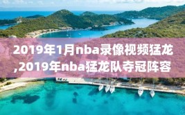 2019年1月nba录像视频猛龙,2019年nba猛龙队夺冠阵容