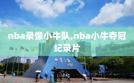 nba录像小牛队,nba小牛夺冠纪录片