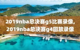 2019nba总决赛g5比赛录像,2019nba总决赛g4回放录像