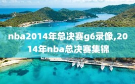 nba2014年总决赛g6录像,2014年nba总决赛集锦