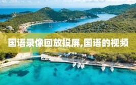 国语录像回放投屏,国语的视频