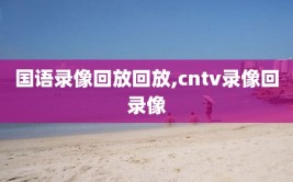 国语录像回放回放,cntv录像回录像