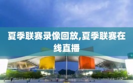 夏季联赛录像回放,夏季联赛在线直播