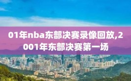 01年nba东部决赛录像回放,2001年东部决赛第一场